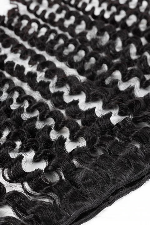 Malaysian Coiled Curl