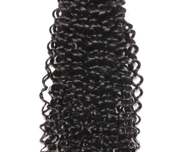 Malaysian Coiled Curl
